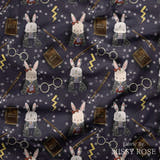 Design 591 - Wizard Bunny Fabric