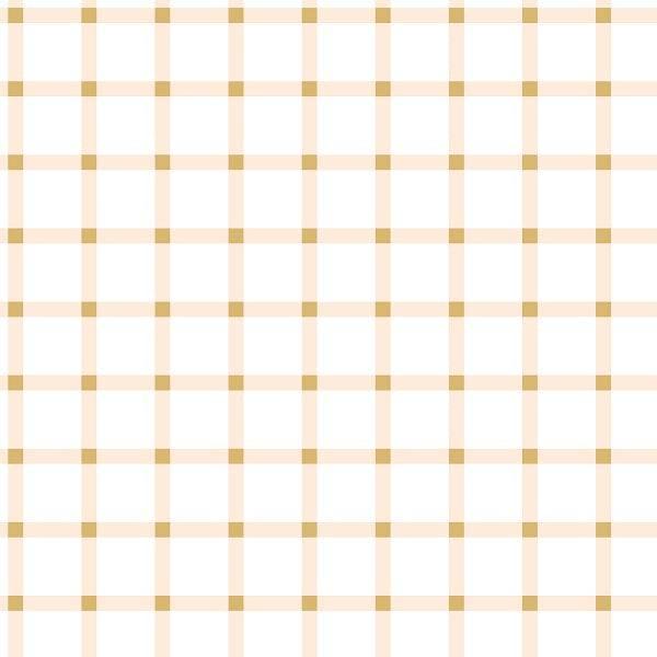 IB April Showers -  Gingham 05 - Fabric by Missy Rose Pre-Order