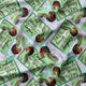 Profanity Fabric - 37