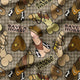 Profanity Fabric - 551