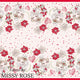 Border Print Fabric - 04