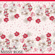 Border Print Fabric - 04