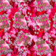 Christmas - Design 130 - Wine Fabric
