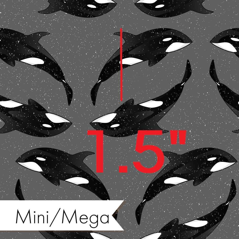 Countdown Collection - 215