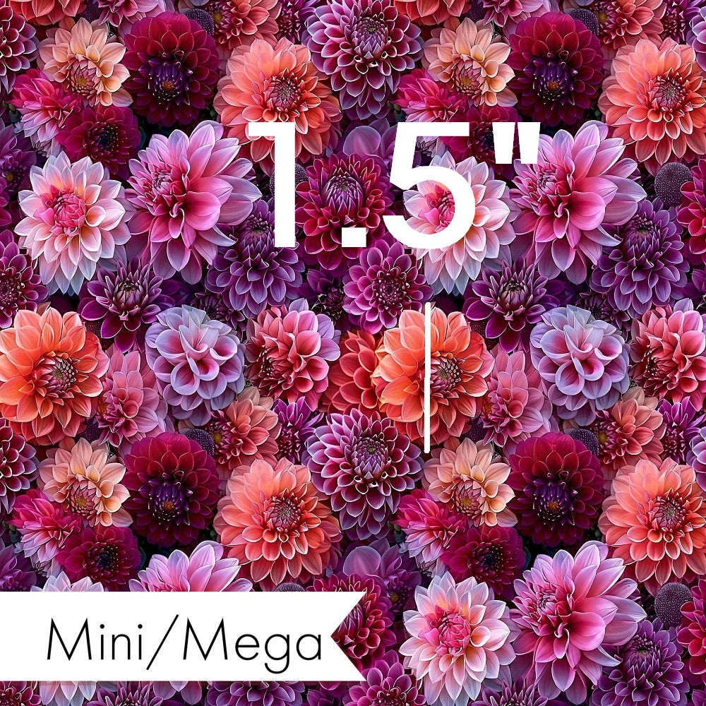 Countdown Collection - 105