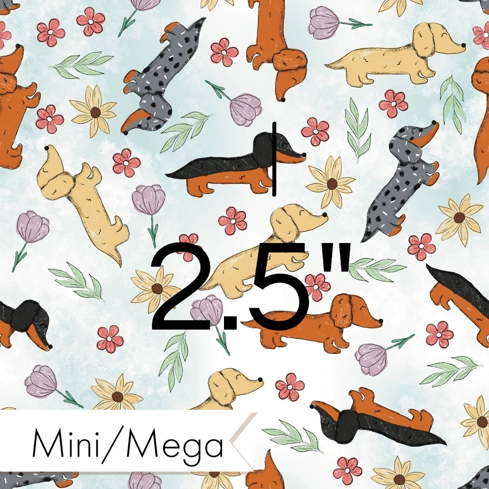 Countdown Collection - 40