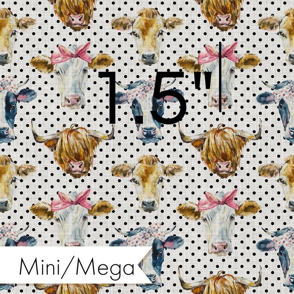 Countdown Collection - 50