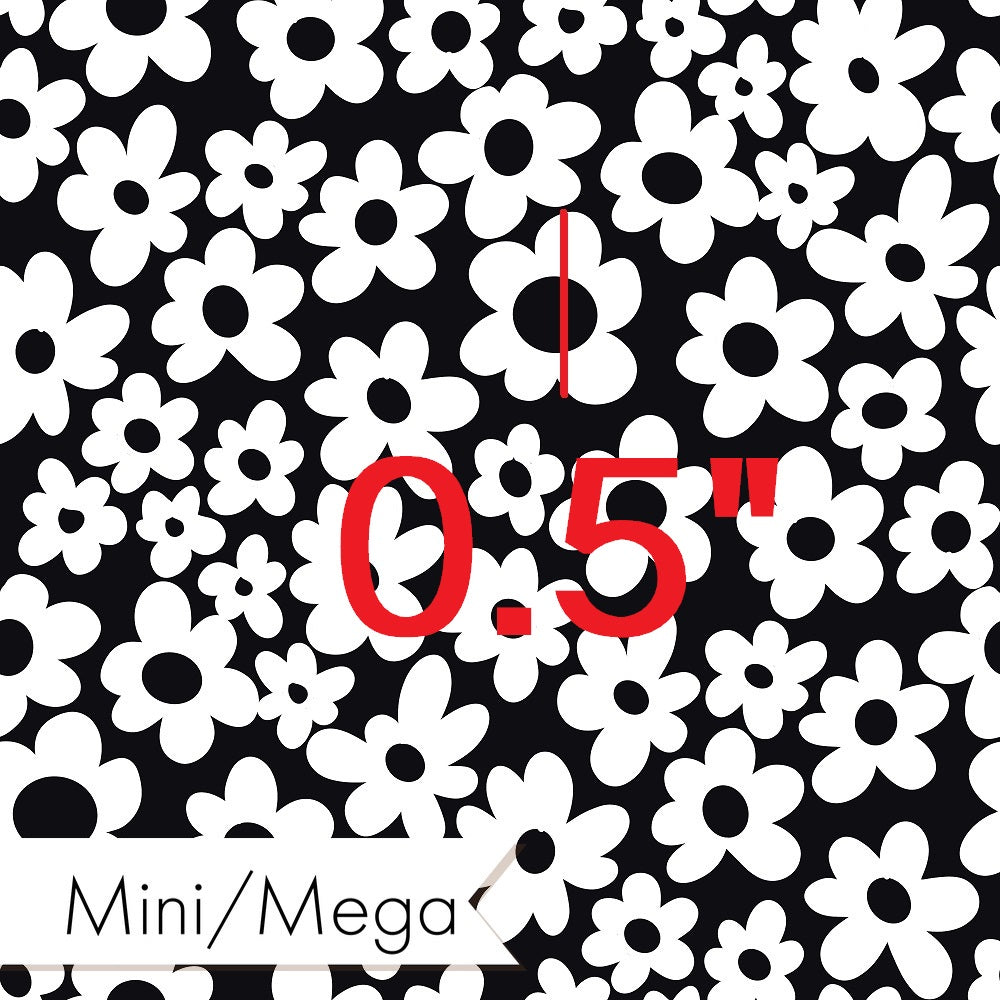 Countdown Collection - 65