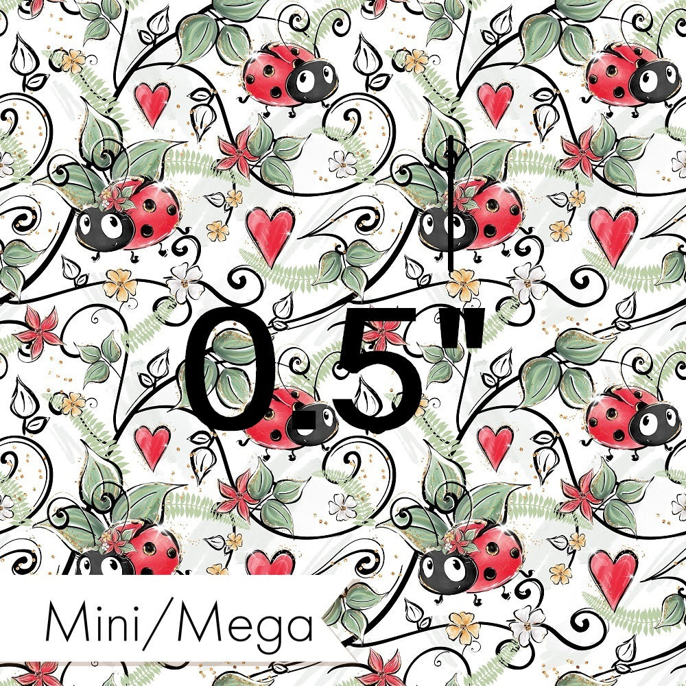 Countdown Collection - 66