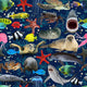 Design 1091 - Navy Sea Animals Fabric
