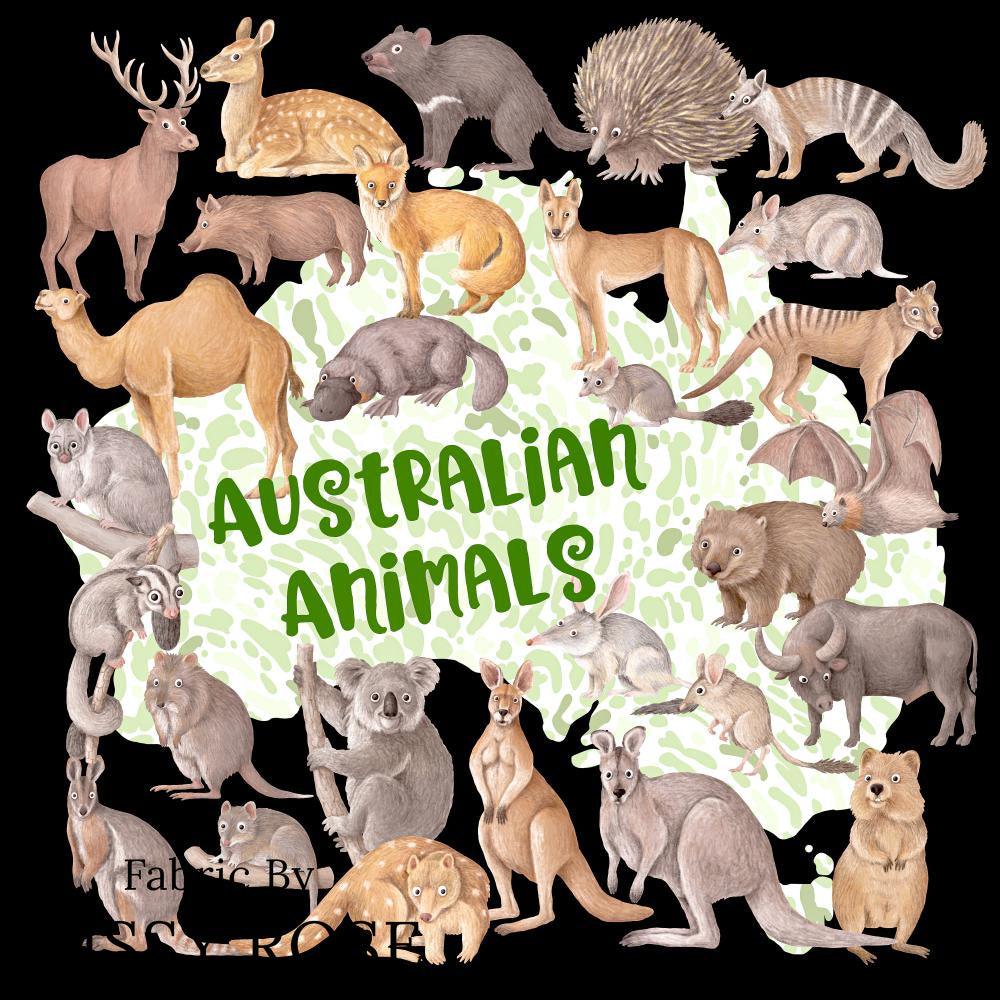 Design 424 Panel Fabric – custom printed pre-order fabric Australia | Fabric by Missy Rose