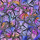 Unlimited - Butterfly Wings Fabric
