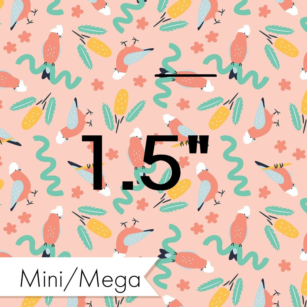 Little Black Kat - 41