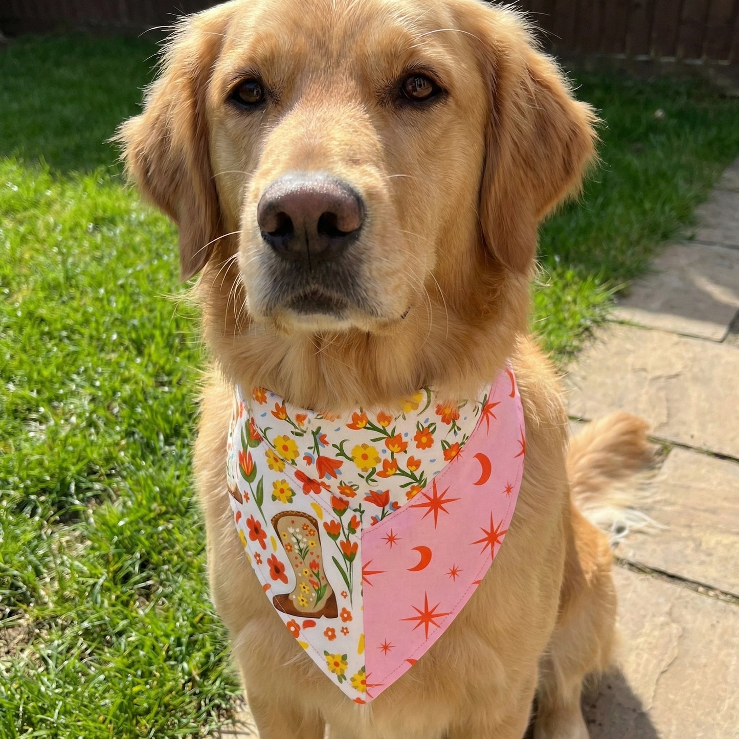 Trio Project Panel - 14