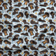 Design 127 - Sausage Dog Fabric