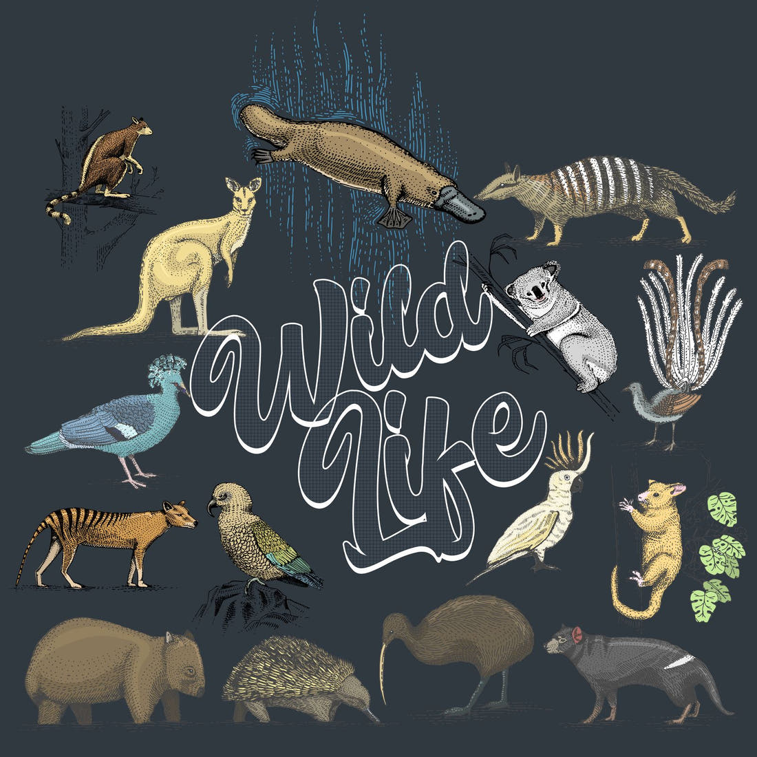Design 132 Wildlife Panel – full artwork close-up of the printed picture | Fabric by Missy Rose