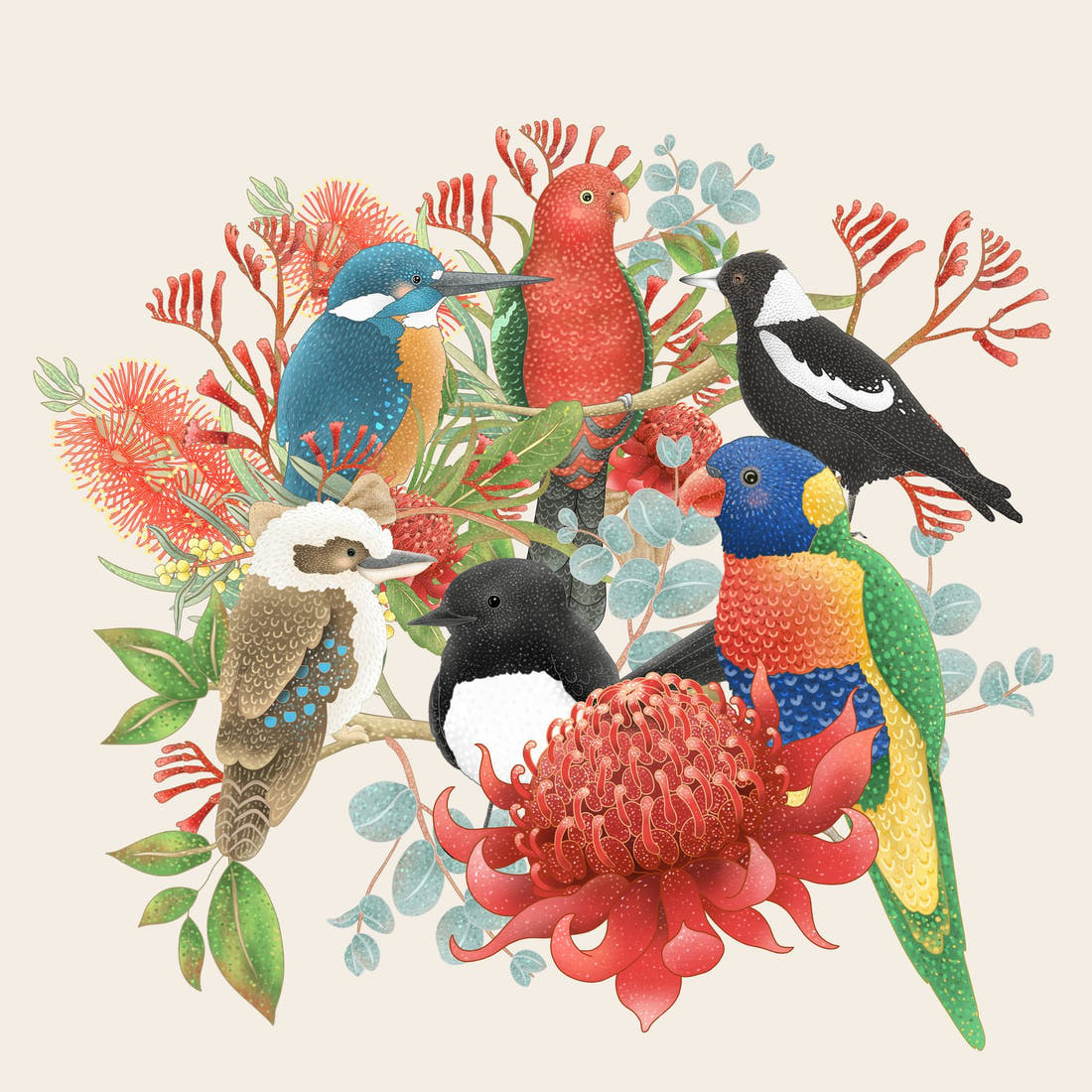 Design 133 Australian Birds Panel – full artwork close-up of the printed picture | Fabric by Missy Rose
