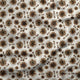 Design 23 - Be Kind Fabric