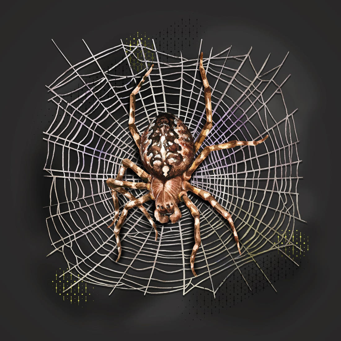 Design 249 Spider Panel – full artwork close-up of the printed picture | Fabric by Missy Rose