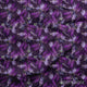 Design 291 - Firefly Fabric