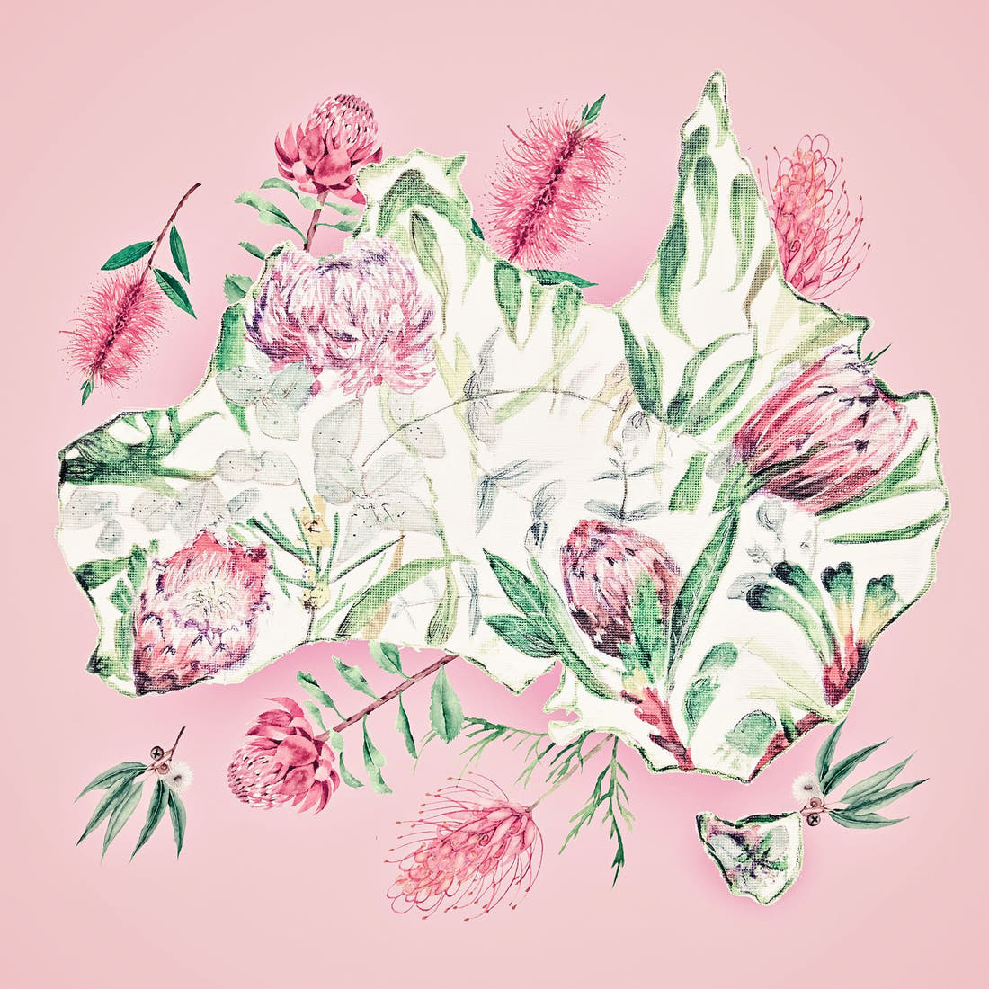 Design 294 Floral Australia Panel – full artwork close-up of the printed picture | Fabric by Missy Rose