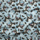 Design 371 - Blue Cow Fabric