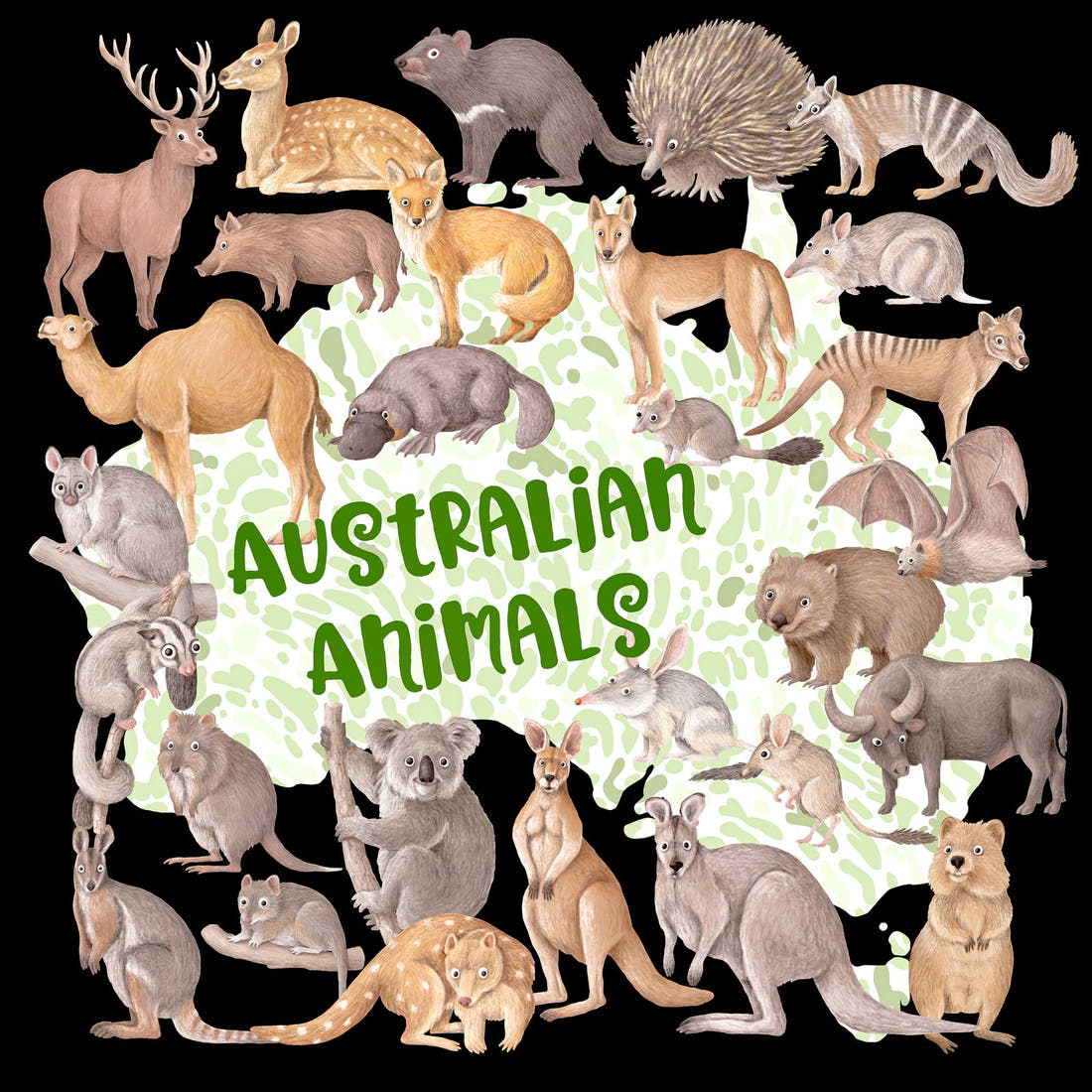 Design 424 Australian Animals Panel – full artwork close-up of the printed picture | Fabric by Missy Rose