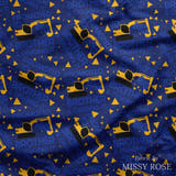 Design 43 - Big Brother Fabric