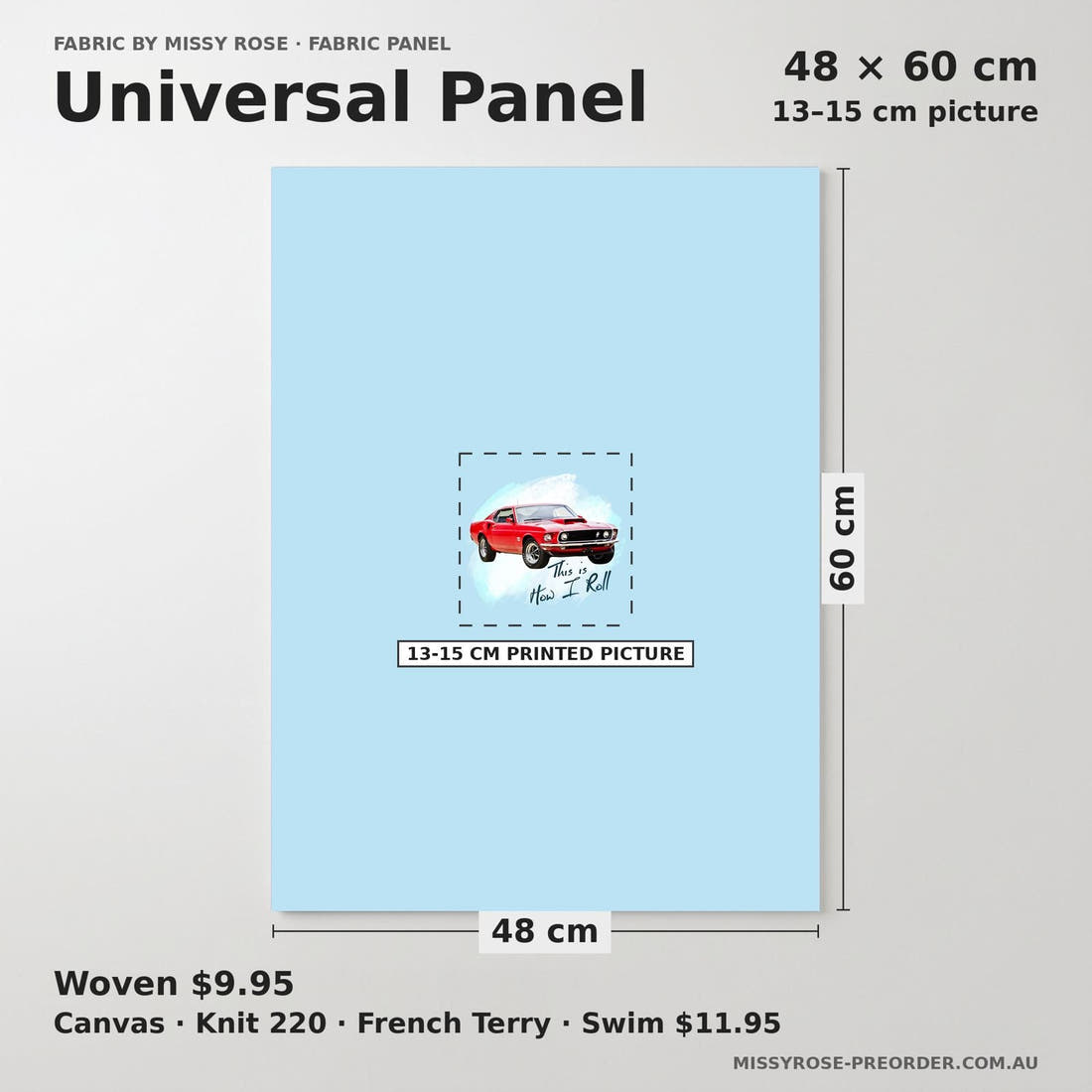 Design 509 Cars Panel universal panel sizing – 13–15 cm printed picture on 48 × 60 cm fabric | Fabric by Missy Rose