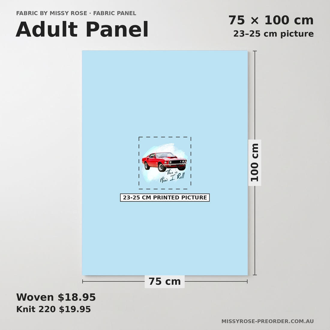 Design 509 Cars Panel adult panel sizing – 23–25 cm printed picture on 75 × 100 cm fabric | Fabric by Missy Rose