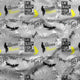 Design 551 - Grey Fishing Fabric