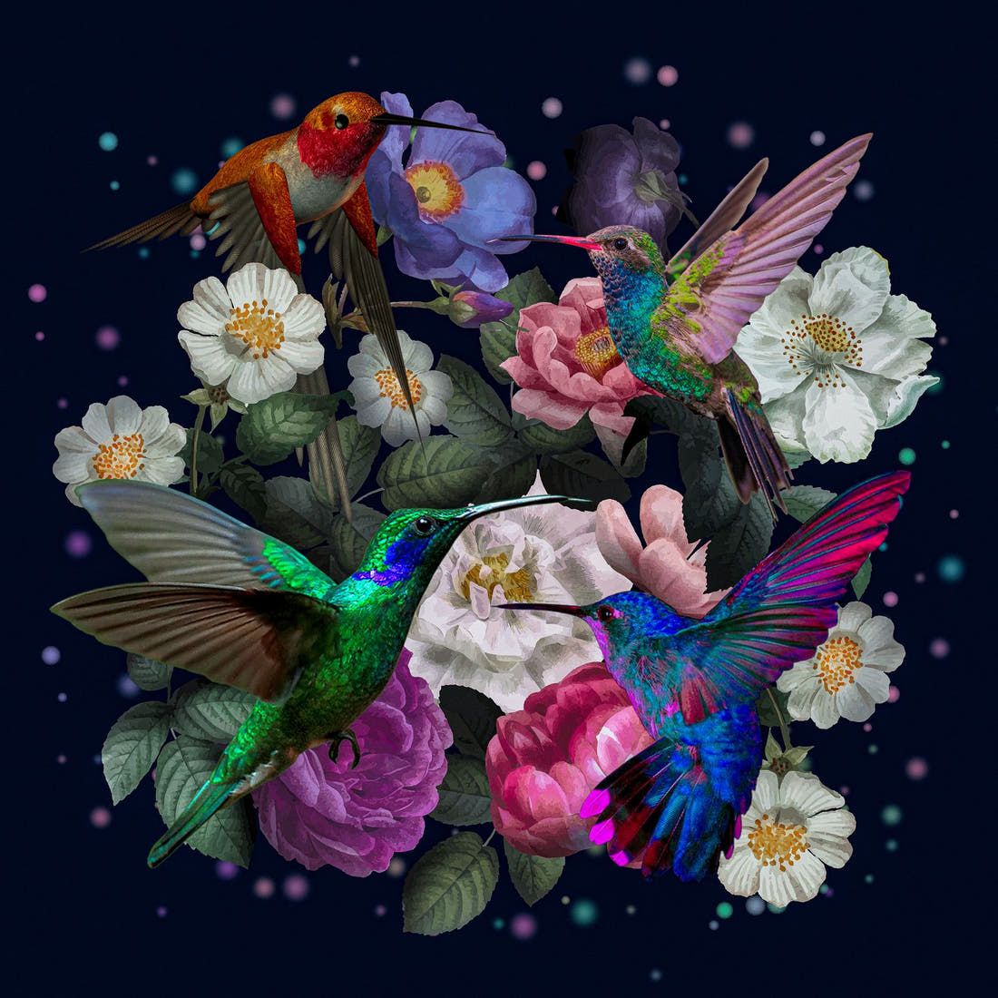 Design 574 Navy Hummingbird Panel – full artwork close-up of the printed picture | Fabric by Missy Rose
