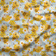 Design 637 - Cute Honey Bee Fabric