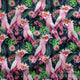 Design 858 - Bird Fabric