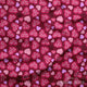 Design 974 - Valentines Fabric