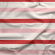 Indy Bloom Fabric - Bee My Valentine - Valentine Stripe 23