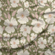 Indy Bloom Fabric - Easter Party - Blossoms Sage 13