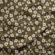 Indy Bloom Fabric - Golden Girl - Sunflowers in Chocolate 03