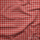 Indy Bloom Fabric - Liberty - Red Gingham 07