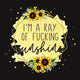 Profanity Fabric - Panel - 346