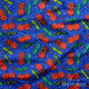 Studio Saturate Fabric - 70