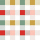 Indy Bloom Fabric - Christmas - Rainbow Gingham 40