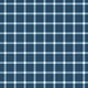 Indy Bloom Fabric - Liberty - Navy Gingham 09